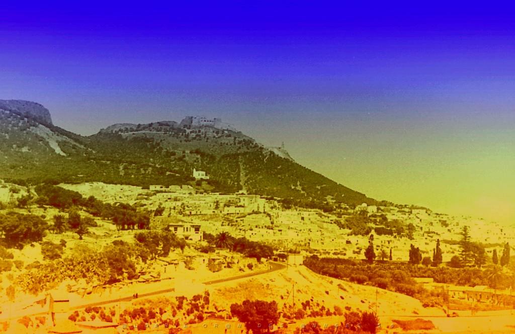 ORAN 02421.jpg